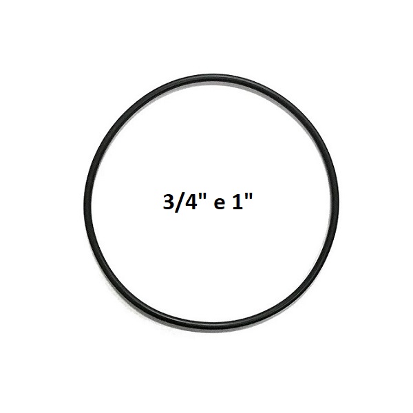 Ref.ª 101017RLG154 - ORING PARA AZUD MOD100 3/4